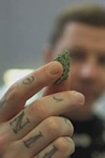 Watch Professor Green: Is It Time to Legalise Weed? 0123movies