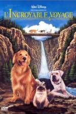 Watch Homeward Bound: The Incredible Journey 0123movies