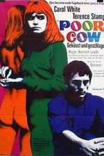 Watch Poor Cow 0123movies