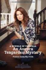 Watch A Bundle of Trouble: An Aurora Teagarden Mystery 0123movies