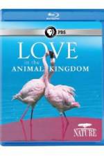 Watch Nature: Love in the Animal Kingdom 0123movies