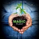 Watch The Magic Plant 0123movies