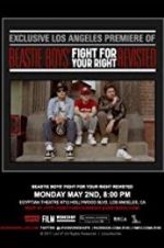 Watch Beastie Boys: Fight for Your Right Revisited 0123movies