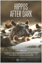 Watch Hippos After Dark 0123movies