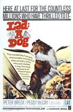 Watch Lad: A Dog 0123movies