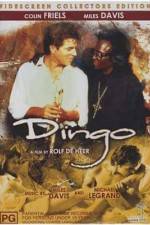 Watch Dingo 0123movies
