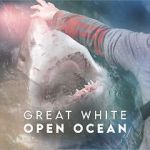 Watch Great White Open Ocean 0123movies