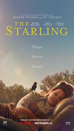 Watch The Starling 0123movies