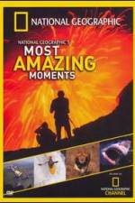 Watch National Geographics Most Amazing Moments 0123movies
