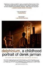 Watch Delphinium: A Childhood Portrait of Derek Jarman 0123movies