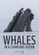 Watch Whales in a Changing Ocean (Short 2021) 0123movies