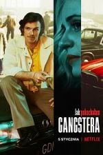 Watch How I Fell in Love with a Gangster 0123movies