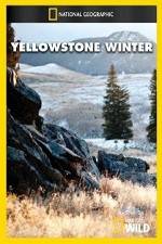 Watch National Geographic Yellowstone Winter 0123movies