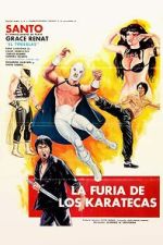 Watch The Fury of the Karate Experts 0123movies