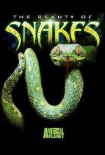 Watch Beauty of Snakes 0123movies