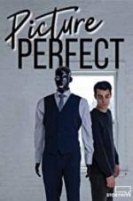 Watch Picture Perfect 0123movies