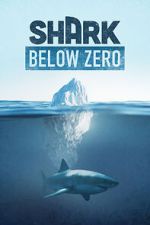 Watch Shark Below Zero 0123movies