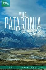 Watch Wild Patagonia 0123movies