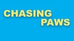 Watch Chasing Paws (Short 2020) 0123movies