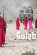 Watch Gulabi Gang 0123movies