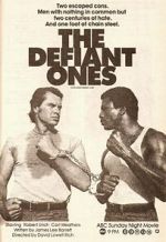 Watch The Defiant Ones 0123movies