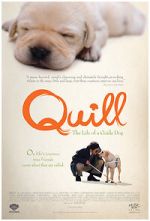 Watch Quill: The Life of a Guide Dog 0123movies