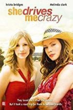 Watch She Drives Me Crazy 0123movies