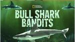 Watch Bull Shark Bandits 0123movies