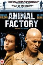 Watch Animal Factory 0123movies