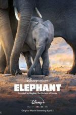 Watch Elephant 0123movies