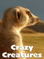 Watch Crazy Creatures 0123movies
