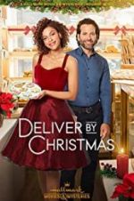 Watch Deliver by Christmas 0123movies