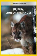Watch National Geographic  Puma: Lion of the Andes 0123movies