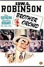 Watch Brother Orchid 0123movies