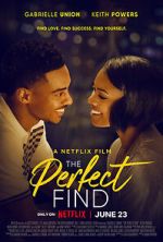 Watch The Perfect Find 0123movies