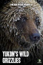 Watch Yukon\'s Wild Grizzlies 0123movies