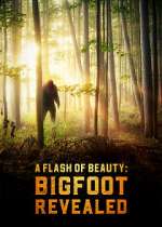 Watch A Flash of Beauty: Bigfoot Revealed 0123movies