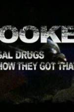 Watch Hooked Illegal Drugs & How They Got That Way - Opium Morphine and Heroin 0123movies