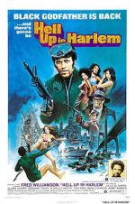 Watch Hell Up in Harlem 0123movies