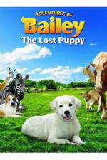 Watch Adventures of Bailey The Lost Puppy 0123movies