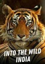 Watch Into the Wild India 0123movies