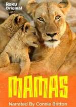 Watch Mamas 0123movies