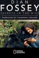 Watch Dian Fossey: Secrets in the Mist 0123movies