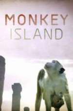 Watch Monkey Island 0123movies