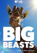 Watch Big Beasts 0123movies