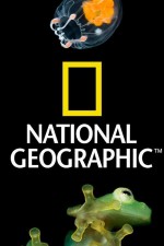 Watch Nat Geo Amazing! 0123movies