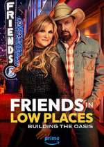 Watch Friends in Low Places 0123movies