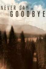 Watch Never Say Goodbye 0123movies