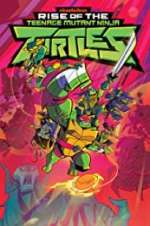Watch Rise of the Teenage Mutant Ninja Turtles 0123movies