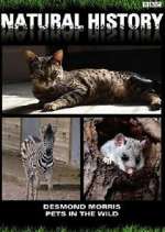 Watch Pets in the Wild 0123movies